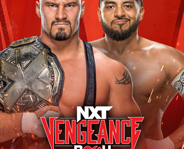 NXT Vengeance Day main event graphic