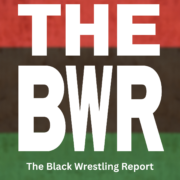 Pan African Diaspora Report Spring 2025 Cover