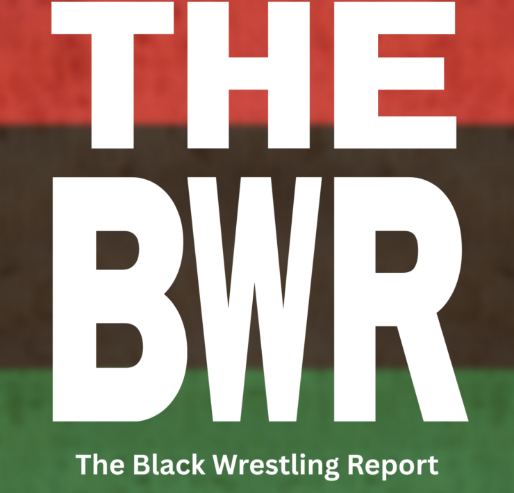 Pan African Diaspora Report Spring 2025 Cover